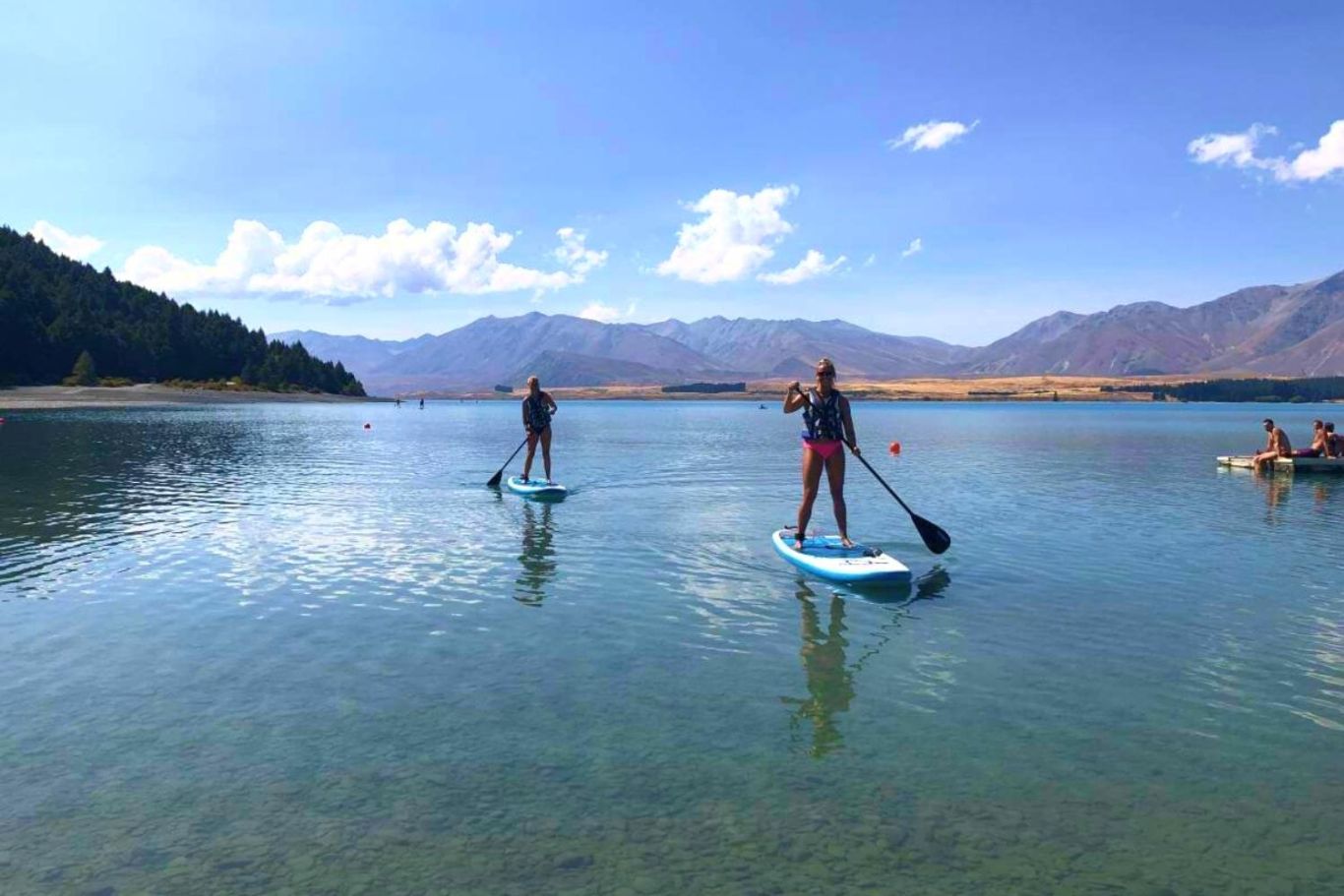 Guided Tours Mackenzie Region New Zealand